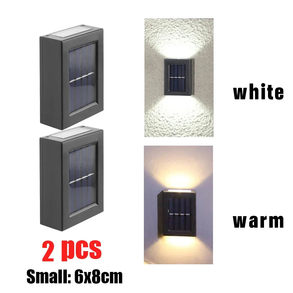 44057123979454|44057124012222